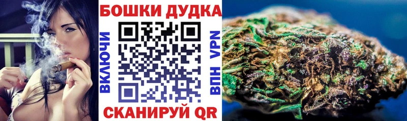 Каннабис планчик Гороховец